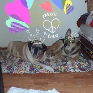 Meet your Posher, Terry